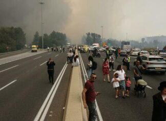 Incendi sui monti a ovest di Gerusalemme, Hamas: “Bruciate tutto”