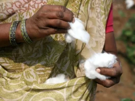 Il prezzo del cotone impenna dopo l’incontro tra USA e India