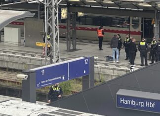Diciotto persone sono state accoltellate nella stazione di Amburgo: arrestata una donna