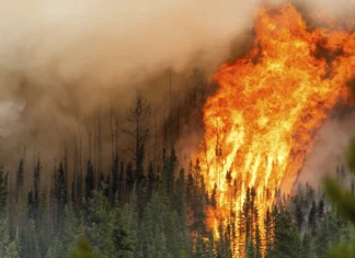 Canada, migliaia di persone saranno evacuate a causa degli incendi nella provincia di Manitoba