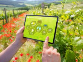 Agroteam, passione e professionalità per clienti soddisfatti