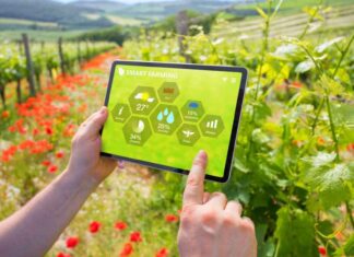 Agroteam, passione e professionalità per clienti soddisfatti