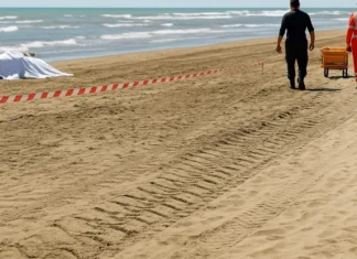 Donna travolta e uccisa da una ruspa in spiaggia, l’uomo alla guida è stato rilasciato: la situazione