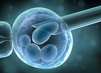Fecondazione assistita: per realizzare un sogno