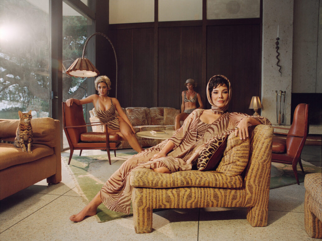 Skims Roberto Cavalli