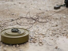 La Lituania ha deciso di ritirarsi da un importante trattato contro le mine antiuomo