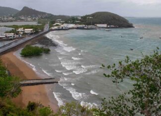 Nell’arcipelago francese di Mayotte la chikungunya, una malattia trasmessa dalle zanzare, è entrata in fase di epidemia