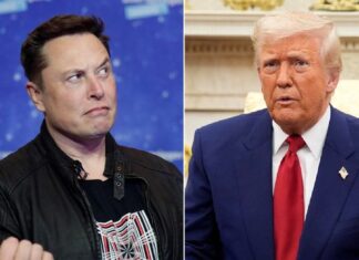 Dopo Trump, anche Musk va contro l’Europa: “Va abolita”, l’UE risponde