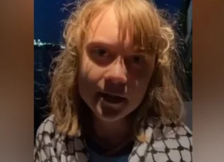 Greta Thunberg sta tornando a casa: rilasciata dopo il sequestro greta thunberg rilasciata