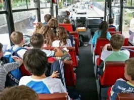 Come adattare le gite scolastiche per studenti con mobilità ridotta
