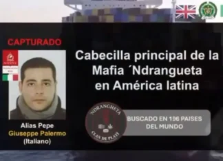 Arrestato in Colombia il boss “Peppe” Palermo, coordinava traffici cocaina tra Sudamerica ed Europa
