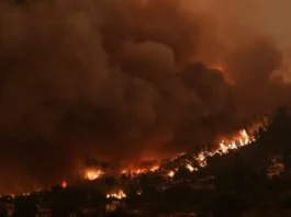 La Grecia ha chiesto aiuto all’Unione Europea per il contenimento di cinque incendi boschivi