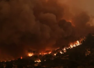 La Grecia ha chiesto aiuto all’Unione Europea per il contenimento di cinque incendi boschivi