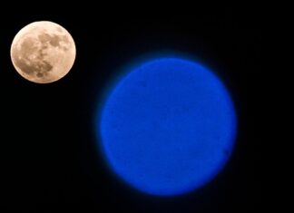 Oroscopo di Paolo Fox per oggi, 1 agosto: stabilità per il Toro, Sagittario in movimento