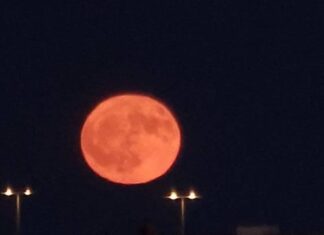 Oroscopo di Paolo Fox per oggi, 29 agosto: chiarezza per la Vergine, Leone fortunato