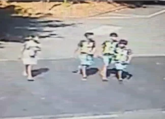 Arrestata per furto la madre di due dei ragazzini che hanno investito e ucciso Cecilia De Astis
