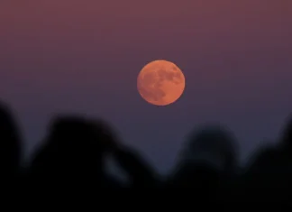 Oroscopo di Paolo Fox per oggi, 5 agosto: Toro riflessivo, Scorpione dritto al punto
