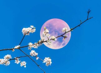 Oroscopo di Paolo Fox per oggi, 6 agosto: giornata speciale per il Cancro, Luna favorevole in Pesci