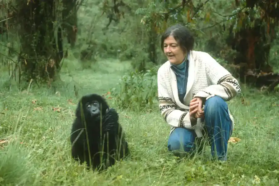 Lo spazio di LetteralMente Donna è dedicato a Dian Fossey, fonte britannica.com