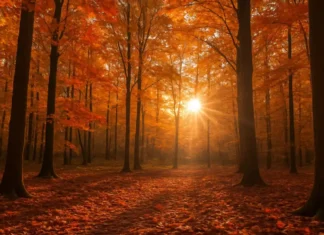 L’equinozio d’autunno 2025 cadrà di lunedì 22 settembre