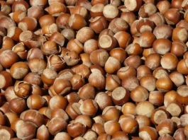 Stiamo vivendo la “crisi della nocciola”: cos’è e perché riguarda più settori
