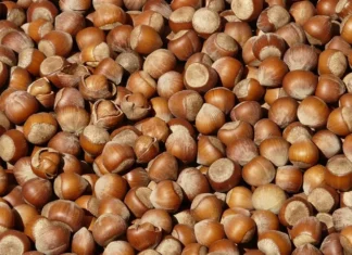Stiamo vivendo la “crisi della nocciola”: cos’è e perché riguarda più settori