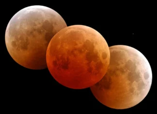 Oroscopo di Paolo Fox per oggi, 11 settembre: energia in crescita per l’Ariete, Leone passionale