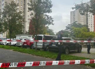 È morta Luciana Ronchi, la donna accoltellata sotto casa a Milano: catturato l’ex marito, accusato di omicidio