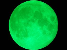 Oroscopo di Paolo Fox per oggi, 4 ottobre: Sagittario in movimento, bisogno di ordine per la Vergine