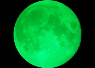 Oroscopo di Paolo Fox per oggi, 4 ottobre: Sagittario in movimento, bisogno di ordine per la Vergine