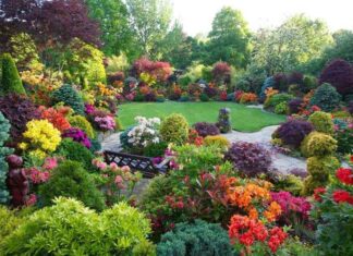 Il fascino senza tempo di un giardino curato
