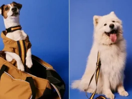 Si, è tutto vero: K-Way lancia la prima pet collection (e l’impermeabile per gli amici pelosi)
