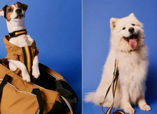 Si, è tutto vero: K-Way lancia la prima pet collection (e l’impermeabile per gli amici pelosi)