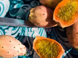 Il fico d’India è il nuovo must del beauty (e no, non stiamo parlando del frutto per la granita)