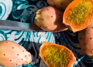 Il fico d’India è il nuovo must del beauty (e no, non stiamo parlando del frutto per la granita)