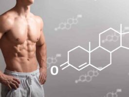 Come l’esercizio fisico supporta naturalmente livelli sani di testosterone