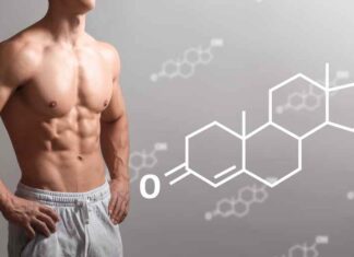 Come l’esercizio fisico supporta naturalmente livelli sani di testosterone