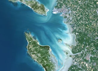 Isola di Oléron, Francia: un uomo ha investito con l’auto diverse persone, ferendone dieci