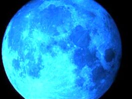 Oroscopo di Paolo Fox per oggi, 15 novembre: fortuna per il Cancro, Luna positiva per i Pesci