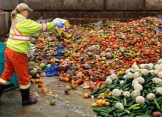 La battaglia della Francia contro gli sprechi alimentari: i supermercati devono donare il cibo invenduto