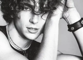 Le dichiarazioni di Timothée Chalamet: quando l’opinione diventa verità assoluta Timothée Chalamet - Photo Credits ScreenWorld