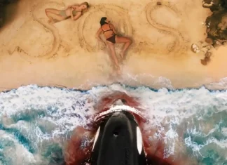 ‘Killer Whale’: il trailer del nuovo horror sulle orche assassine