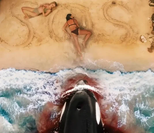 ‘Killer Whale’: il trailer del nuovo horror sulle orche assassine