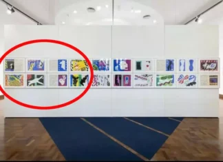 Rubate otto opere di Henri Matisse, esposte in una mostra a San Paolo in Brasile