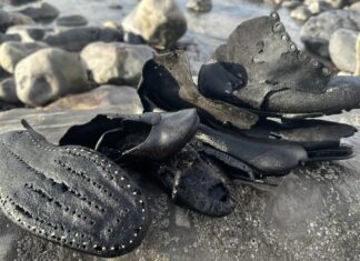 Il mistero delle centinaia di scarpe vittoriane ritrovate in Galles