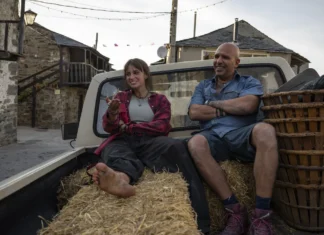 Cos’è e come funziona il Cammino di Santiago? Guida pratica ai percorsi
