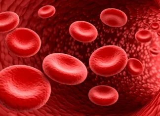 In Sardegna si potrà curare la talassemia senza trasfusioni