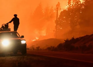 I gravi incendi in Argentina hanno devastato 15.000 ettari in Patagonia