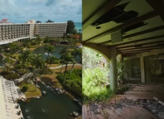 Saipan, il paradiso “Made in USA” divorato dalla vegetazione. Il rischio di un’economia fragile Saipan - Photo Credits Nicolò Balini