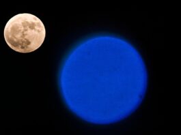 Oroscopo di Paolo Fox per oggi, 31 gennaio: Scorpione preoccupato, Sagittario entusiasta